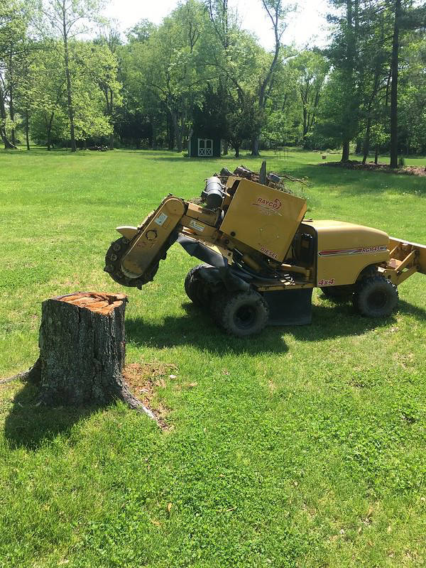 Stump Commercial Removal